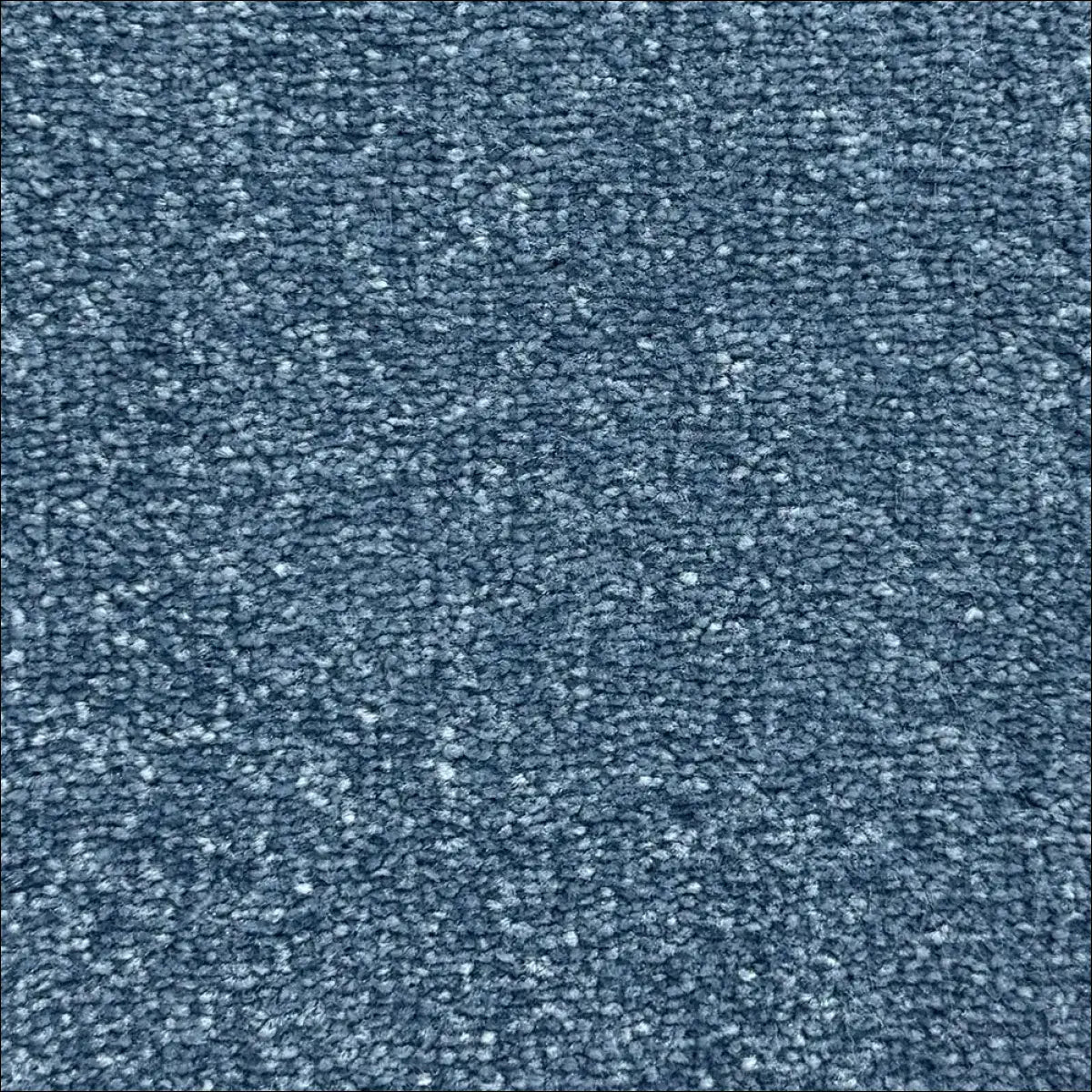 Petra soft touch saxony carpet