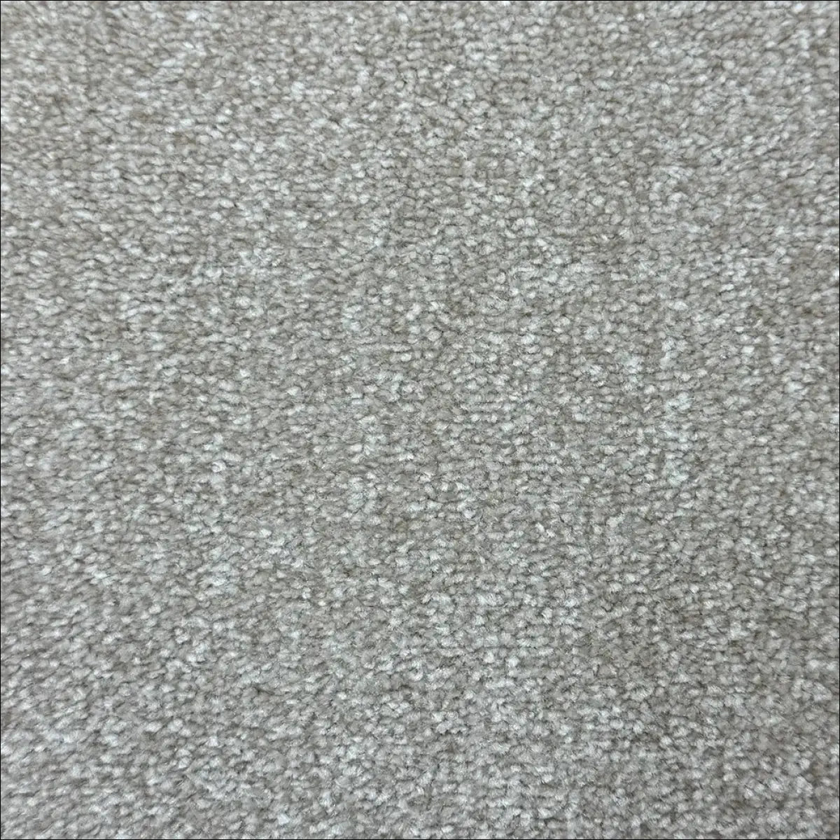 Petra soft touch saxony carpet