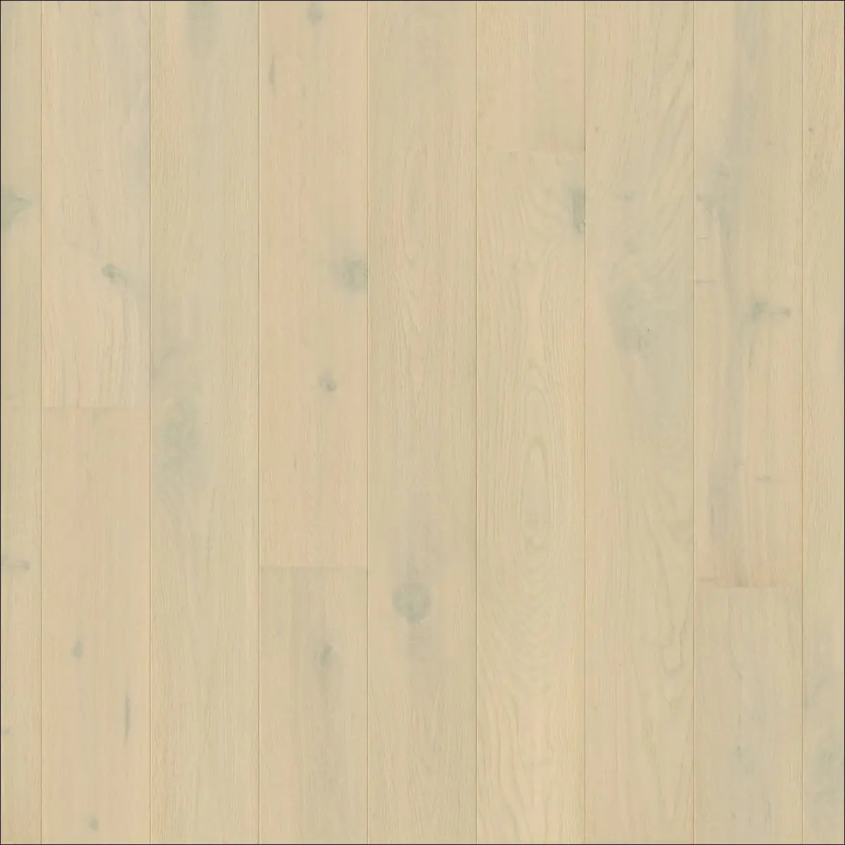 Quick-step amato wintry forest oak extra matt