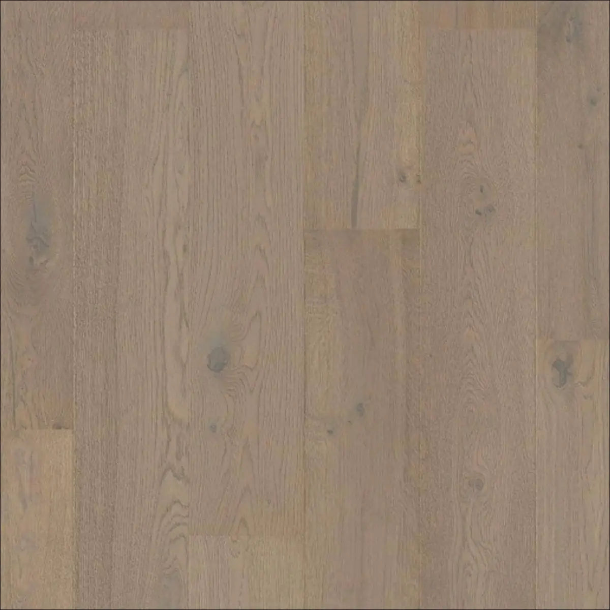 Quick step cascada wood flooring cotton grey oak extra matt