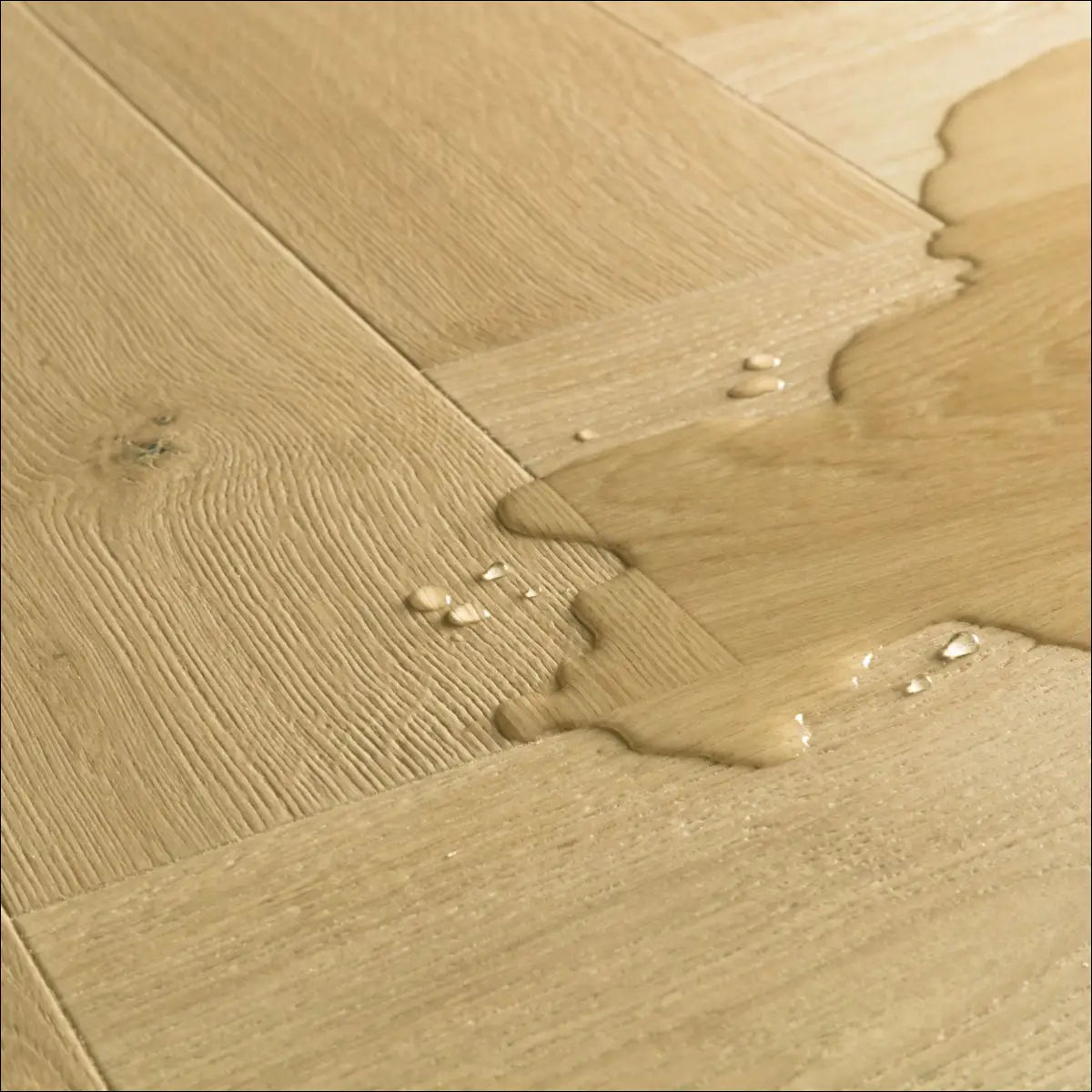 Quick step impressive design cardamom oak