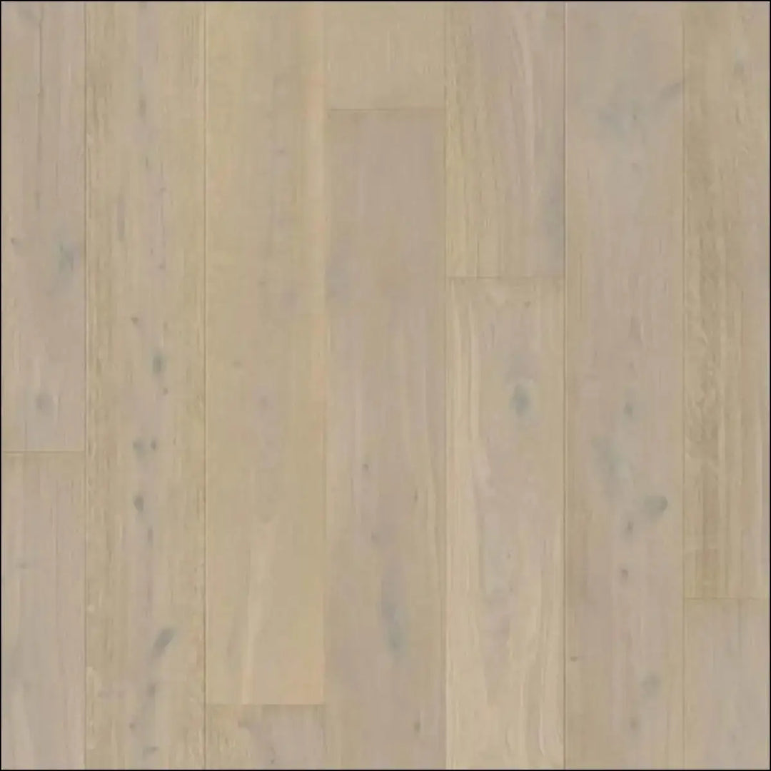 Quick step massimo wood white daisy oak extra matt