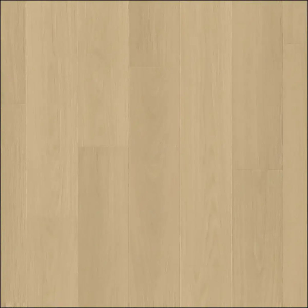 Light beige hardwood flooring with smooth natural grain finish in quickstep capture laminate beige varnished oak style