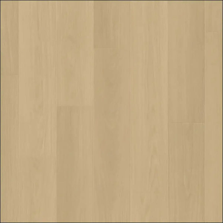 Light beige hardwood flooring with smooth natural grain finish in quickstep capture laminate beige varnished oak style