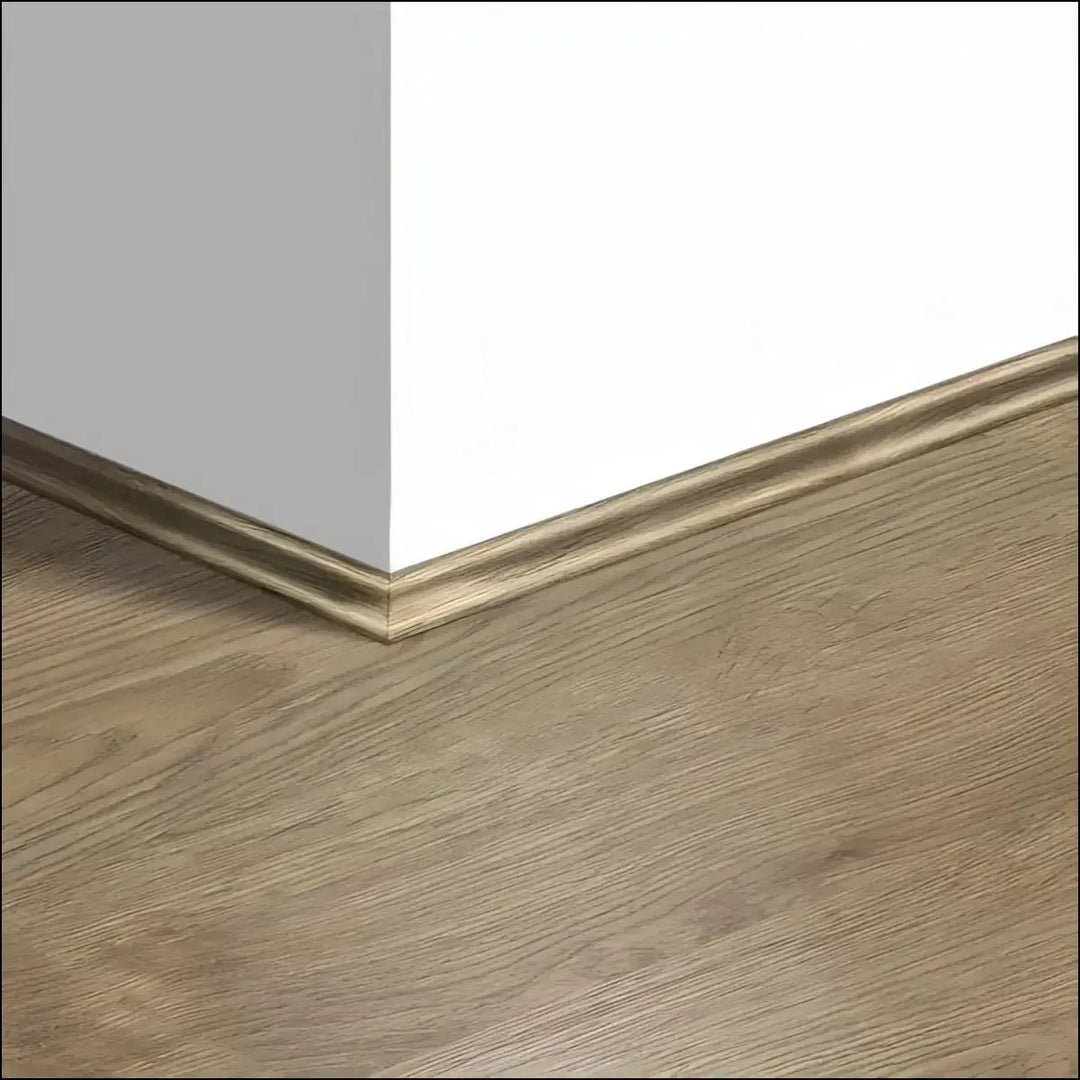 Quickstep eligna scotia