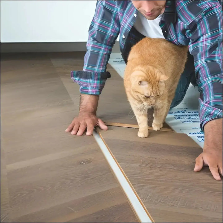 A ginger cat stands on a partially installed quickstep intenso engineered wood eclipse oak oiled floor with a fluffy coat