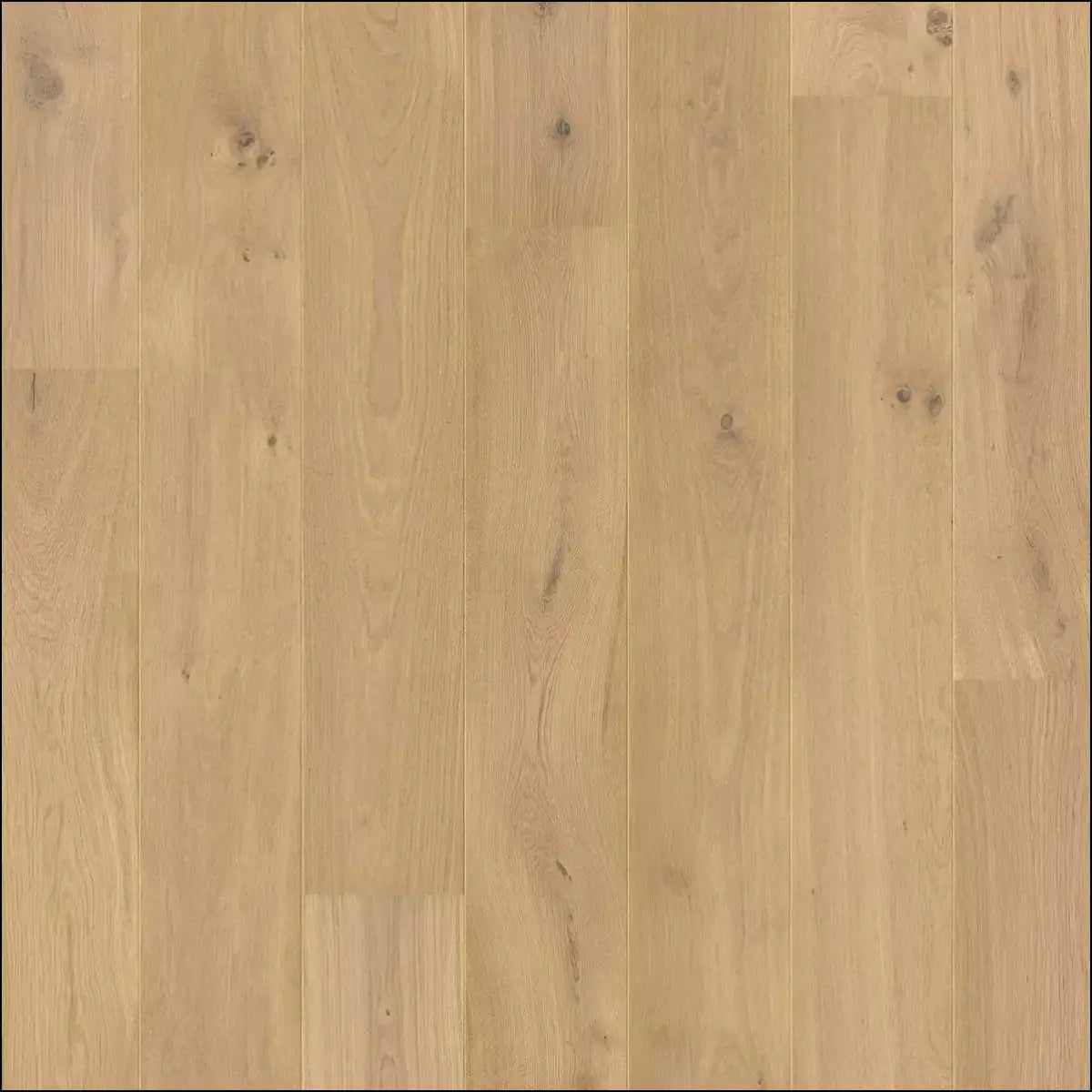 Quickstep palazzo engineered wood pure oak extra matt